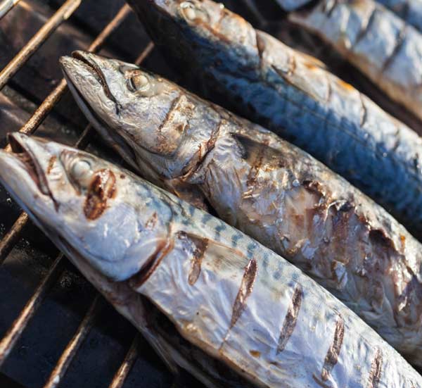  Pescado a la brasa